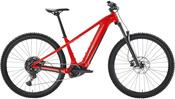 Trek 2027 Powerfly+ 4 800Wh Gen 5 image