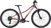Trek 2027 Precaliber 24" Suspension image