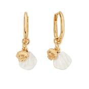 Chlobo Gold Dream Waves Oval Hoops GEH35153541 image