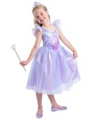 Fairy Princess Kids Costume image