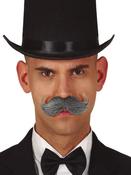 GRAY ENGLISH MOUSTACHE image