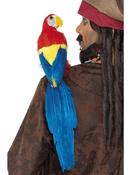 Large Parrot