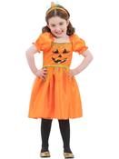 Pumpkin Kids Costume image