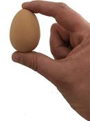 Bouncing ball, Egg,