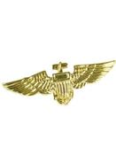 Aviator Wings