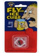 fly in an ice cube image