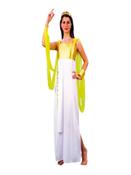 Goddess Athena Fancy Dress Costume image