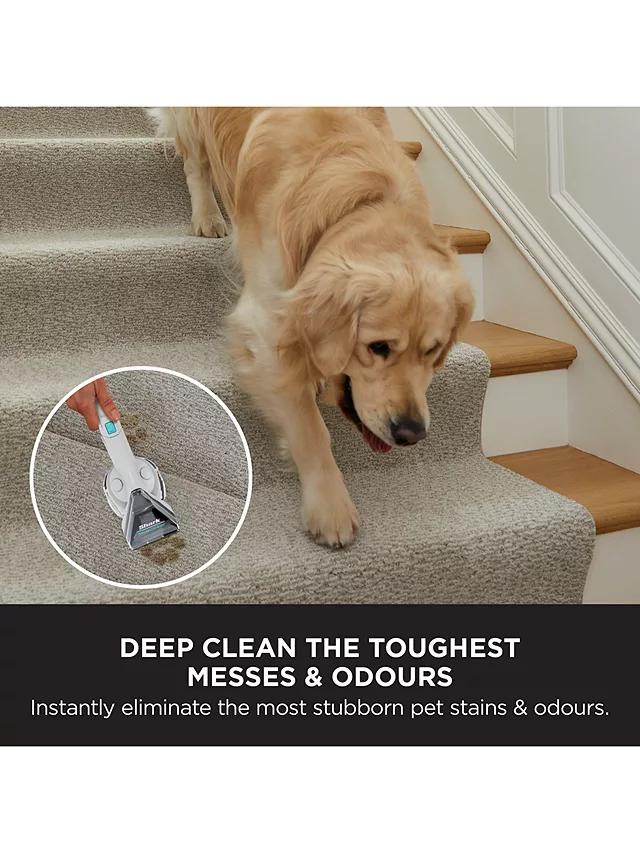 Shark CarpetXpert Carpet Cleaner with StainStriker, Deep Clean, Fast Dry Time