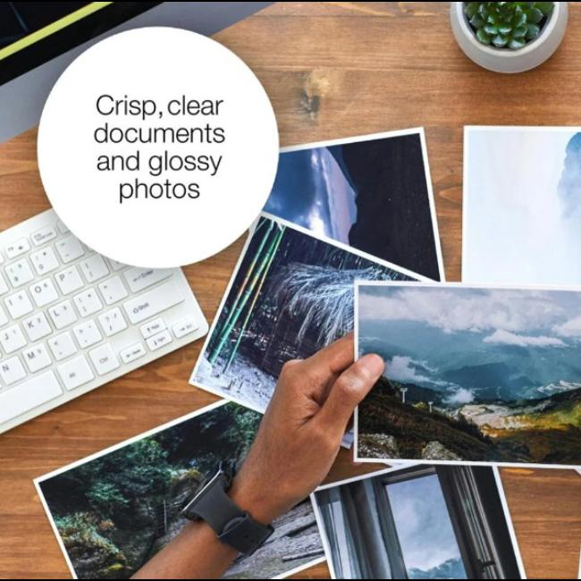 Epson Photo Black 202 Claria Premium Ink 4ml 400 pages
