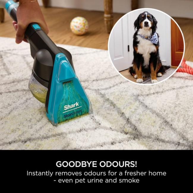 Shark CarpetXpert Pet Deep Carpet Cleaner with StainStriker, HairPro, Powerful Suction, and EdgeClean