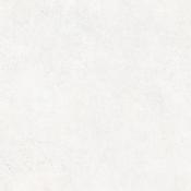Alden White Rectified Matt 60 x 60 image