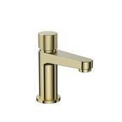 Amani Brass Mini Mono Basin Mixer image