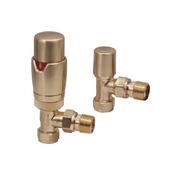 Designer Twin Pack TRV, Brushed Brass Angled