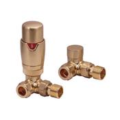 Designer Twin Pack TRV, Brushed Brass Corner image