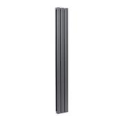 Bloom Vertical Double Anthracite Designer Radiator 204 x 1800
