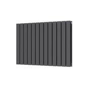 Bloom Horizontal Double Anthracite Designer Radiator 886 x 600 image
