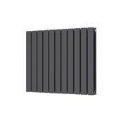Bloom Horizontal Double Anthracite Designer Radiator 750 x 600 image