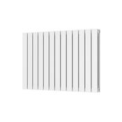 Bloom Horizontal Double White Designer Radiator 886 x 600 image
