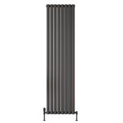 Blossom Vertical Double Anthracite Designer Radiator 531 x 1800 image