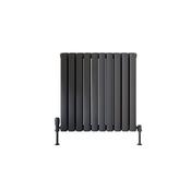 Blossom Horizontal Double Athracite Designer Radiator 590 x 600 image