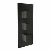 Black Triple Handle, 2 Outlet Concealed Valve image