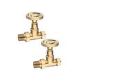 Maesteg Industrial Straight Rad Valves - Brushed Brass image