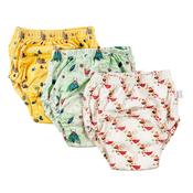 Pull Up Potty Trainers 3pk - 2.5 Years+