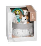Birth Basket