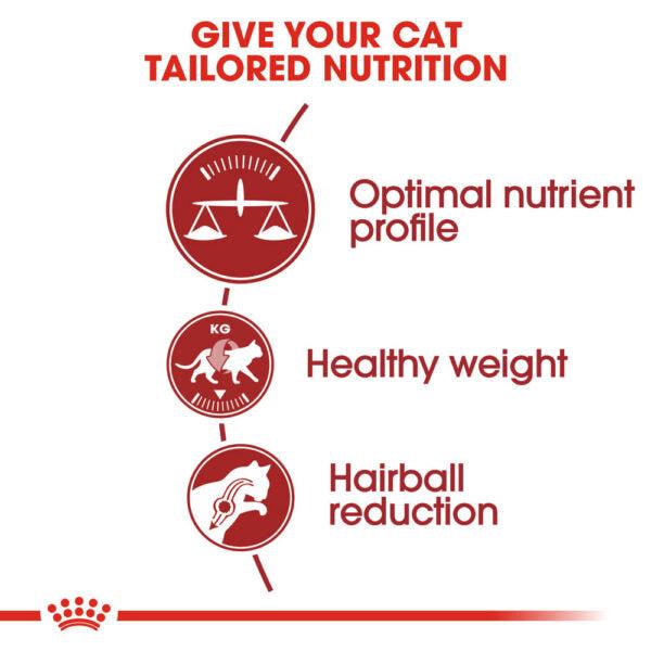 Royal Canin Dry Cat Food Regular Fit 32 Size 400g Feline Health Nutrition