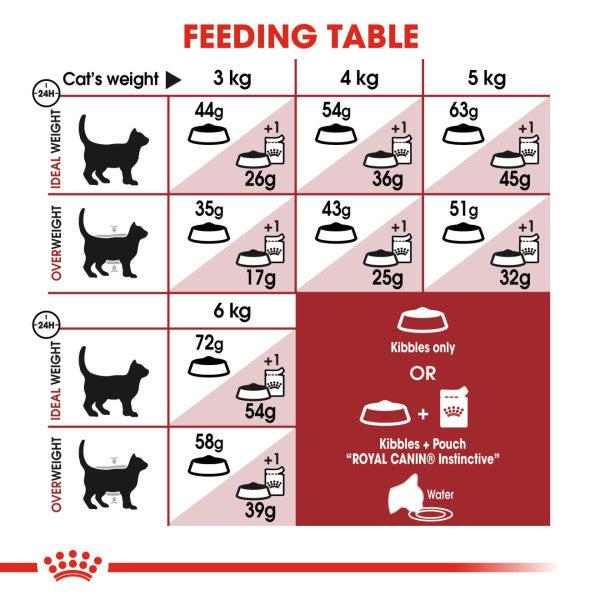 Royal Canin Dry Cat Food Regular Fit 32 Size 400g Feline Health Nutrition
