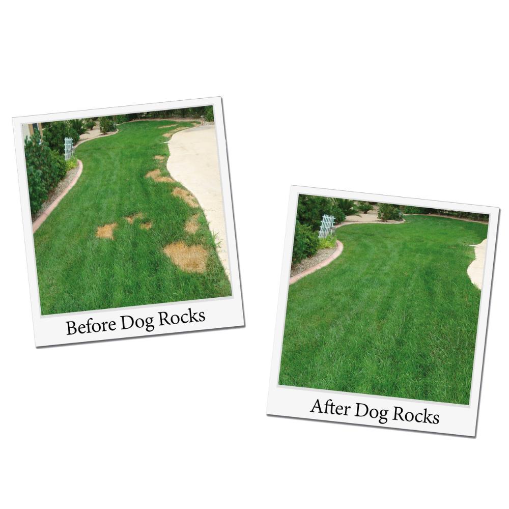 Dog Rocks 200g - 100% Natural Solution for No More Urine Burn Patches On Your Lawn