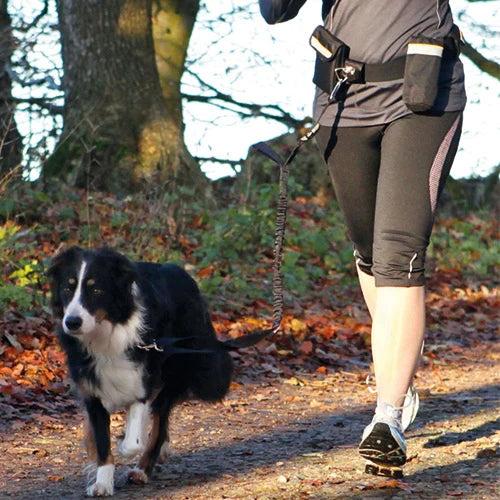 TRIXIE Waist Belt with Dog Leash, Nylon, Pockets, Reflective Stripes, Buckle, Leash, Swivel Joint, Elastic Waist Band, Bottle Holder