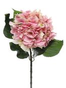 Hydrangea Extra Large Pink 68cm
