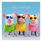 Icon (Coola Coola) Have A Happy Day -  Piglets