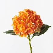 Hydrangea orange  - l63xd20cm image