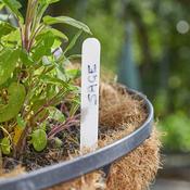 10cm Plant Labels 50pk image