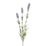 Dutch Lavender Stem X3 62cm