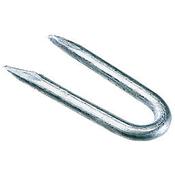 Galvanised Fence Staples 1 1/2''