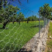 Hexagonal Wire Netting 50mm 1x5m Galvanised