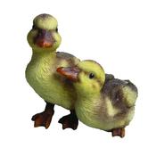 NF Duckling Group