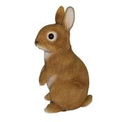 RL Young Rabbit