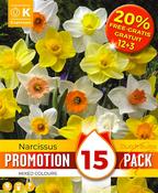 Promo 20% Narcissus Mixed Colours 12/14  Pack of 15