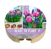 Plant-O-Mat Tulipa &amp; Muscari 24cm  Pack of 19