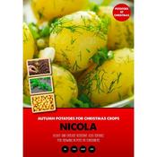 Seed Potatoes Nicola  1Kg image