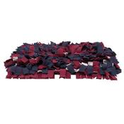 Dog Activity Sniffing Carpet