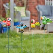 Parrot Pals Loony Stakes