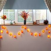 Acorn &amp; Leaf String Lights - Set of 20 image