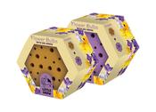 Bee &amp; Butterfly House Purple Crocus Mixed 5/7 Pack of 15