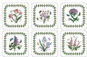 Botanics Garden Coaster Set of 6