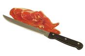 Carving Knife 20cm Cerbera - Apollo image